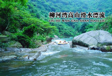 新航道雅思培训机构官网