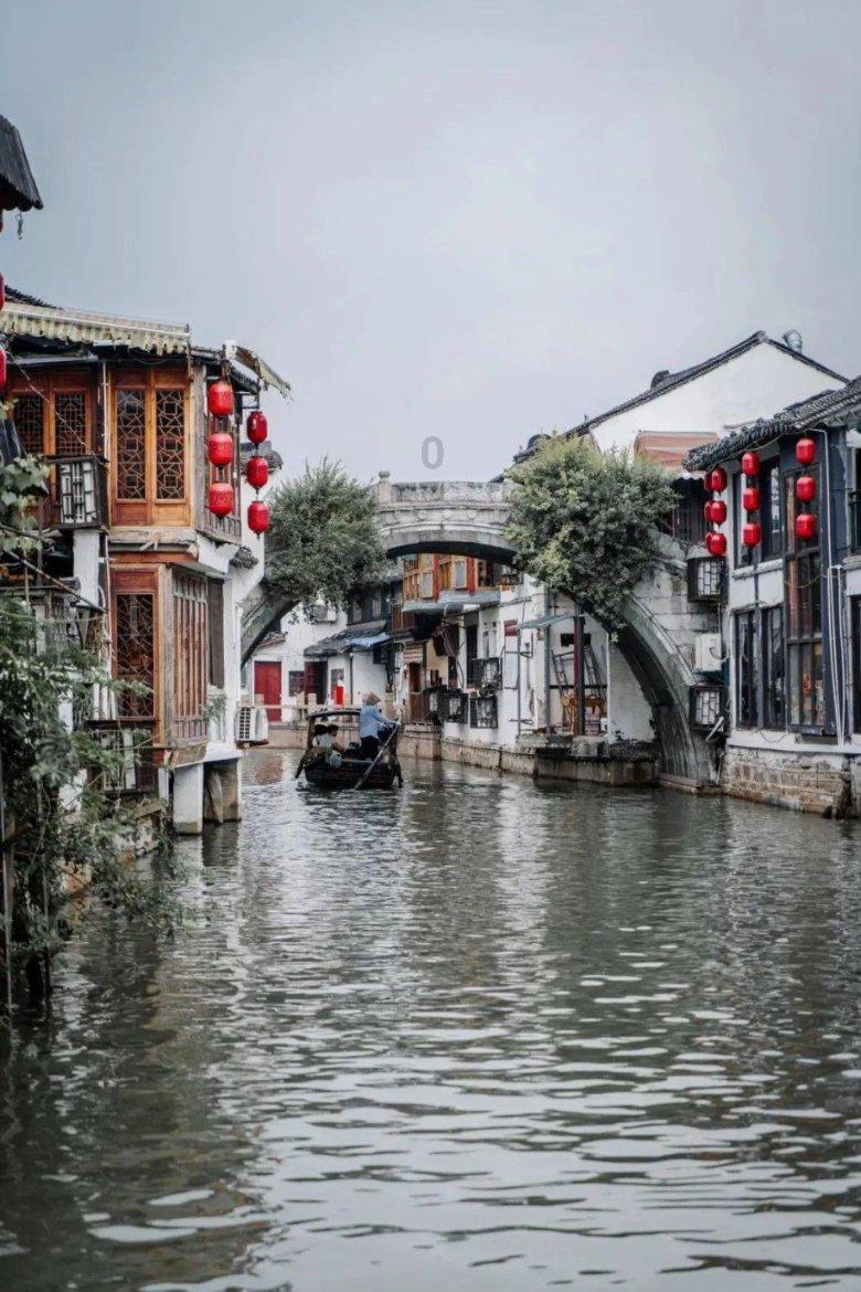 奔跑的兔子
